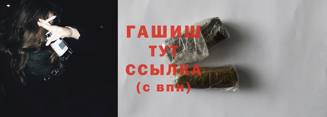 индика Абаза