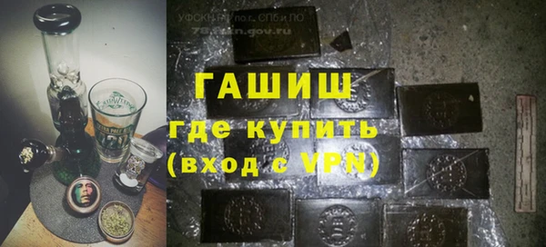 индика Абаза