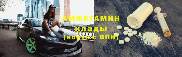 индика Абаза