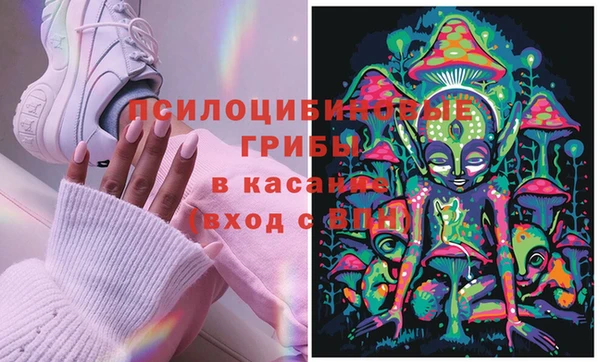 стаф Абдулино